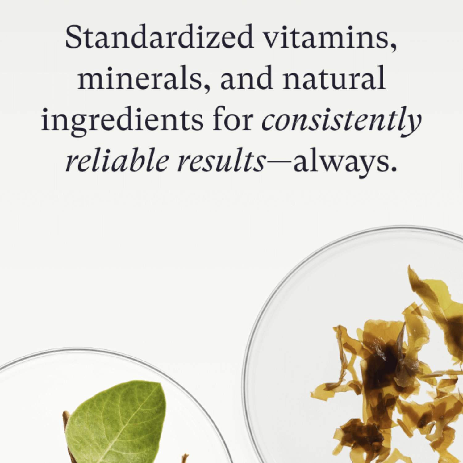 Nutrafol: Women Hair Growth Nutraceutical (3 month supply)